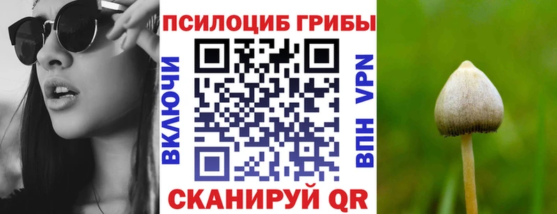 Псилоцибиновые грибы Magic Shrooms Краснообск