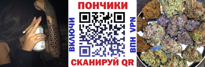 Бошки Шишки сатива  закладки  Краснообск 